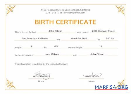 Realistic United States Administrative office birth certificate example